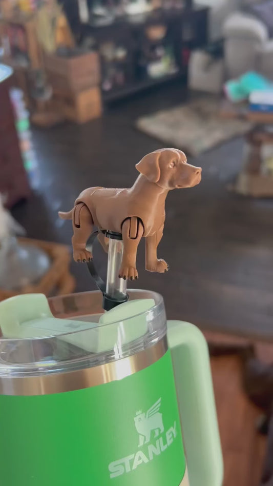 Chocolate lab straw topper